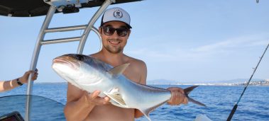 Seriole au downrigger