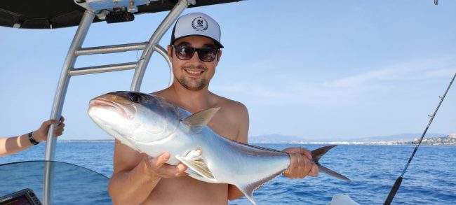 Seriole au downrigger